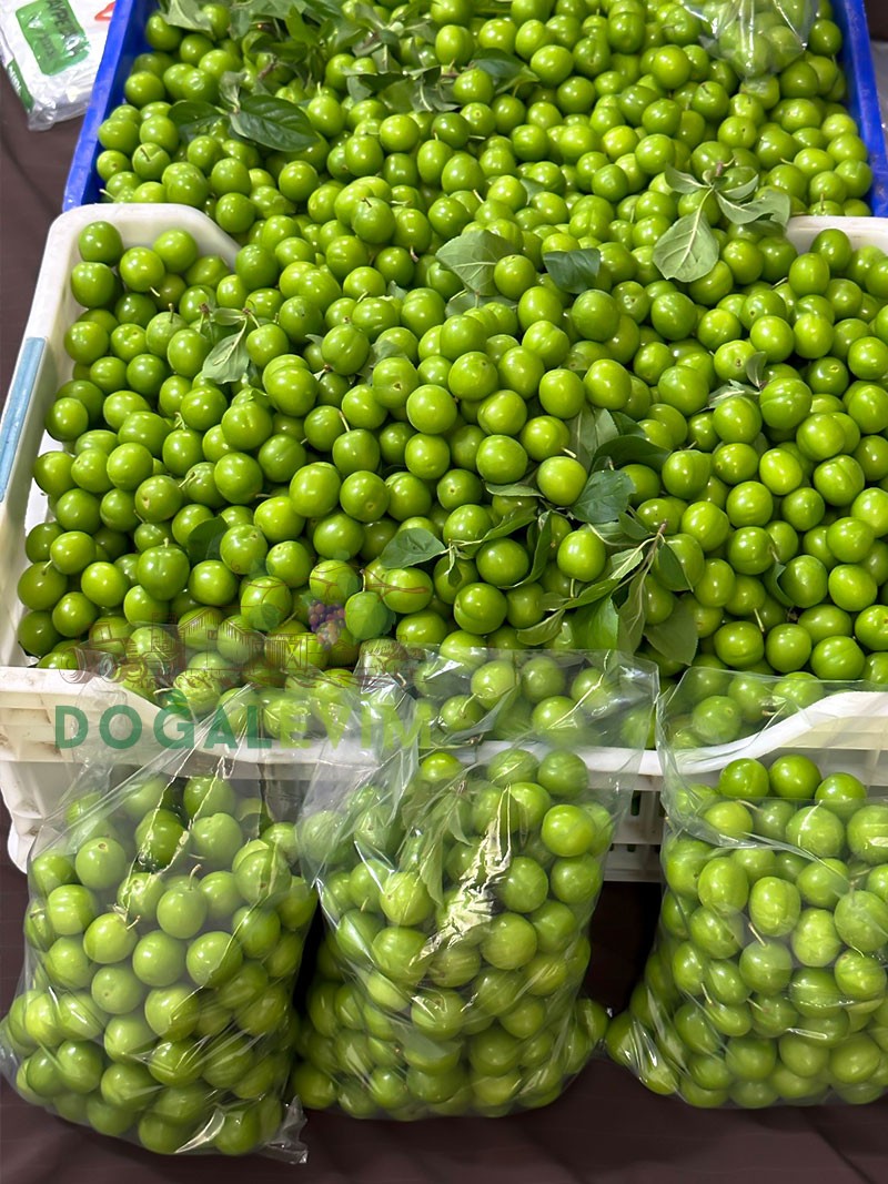 Taze Papaz Erik 1 Kg.