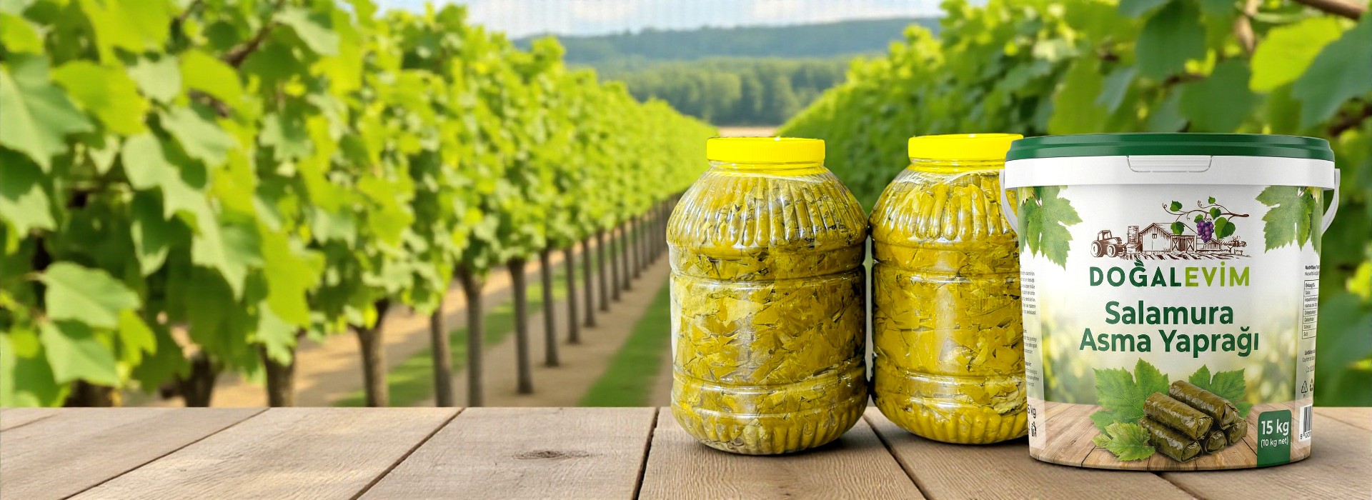 Salamura Asma Yaprak